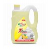 XSTAIN SURFACE CLEANER - 5 ltr